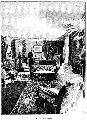 Illustration, sida 498