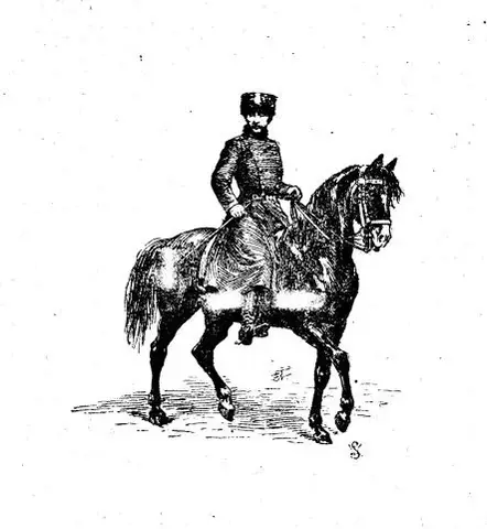 Illustration, sida 563