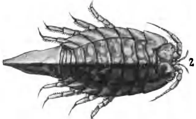 Illustration ur Om Skandinaviens geografiska utveckling efter istiden af Gerard de Geer (1896), sida 91