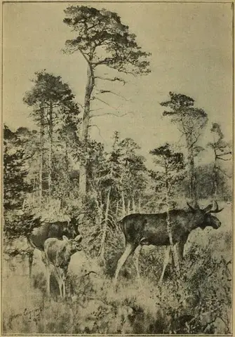 Illustration, sida 30