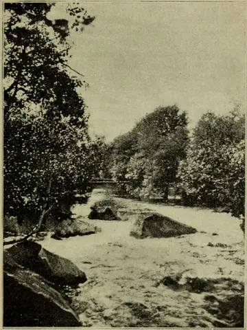 Illustration ur En bok om Sverige.1. (1893), sida 265