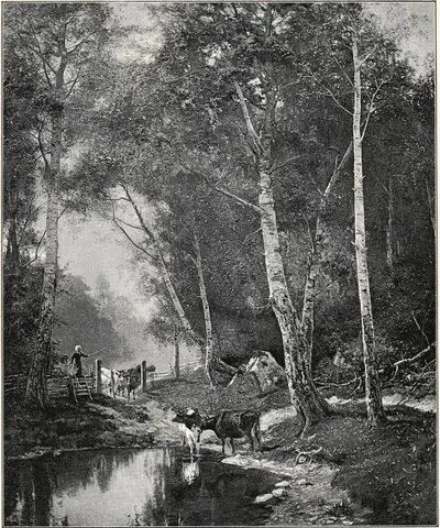Illustration, sida 51