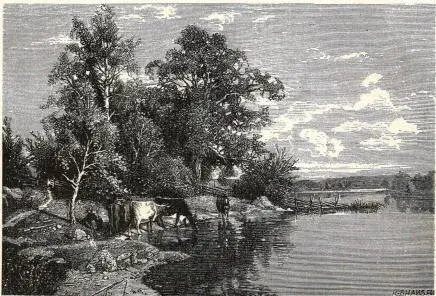 Illustration, sida 76