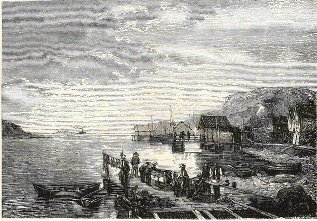 Illustration, sida 77