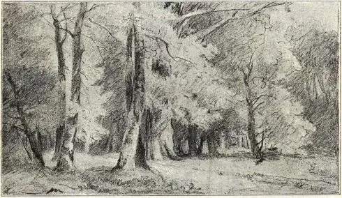 Illustration, sida 78