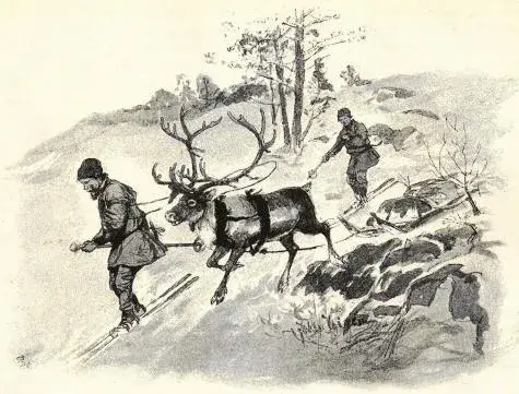 Illustration, sida 84
