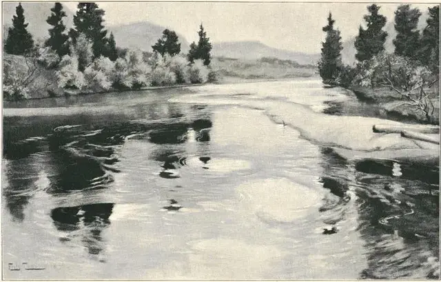 Illustration, sida 103