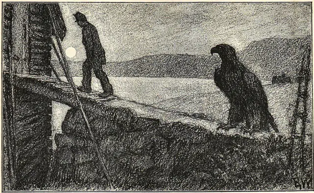 Illustration, sida 133