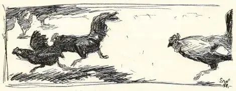 Illustration, sida 138