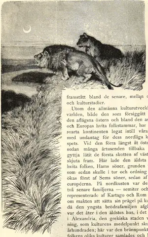 Illustration, sida 160