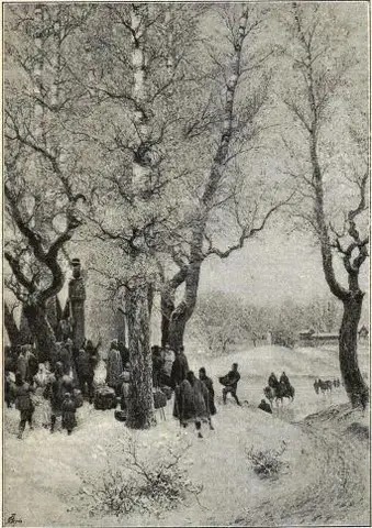 Illustration, sida 204