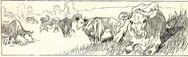 Illustration ur Ord och Bild: 1892 (1892), sida 511