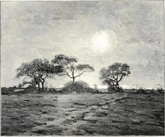 Illustration, sida 308