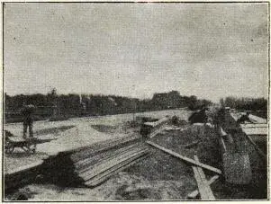 Illustration, sida 441