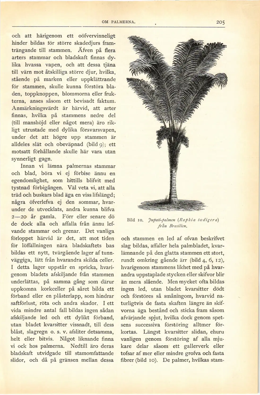 Originalsida 219