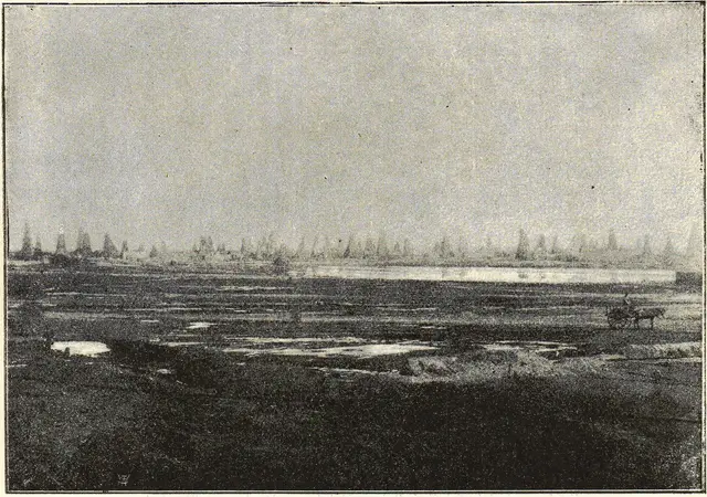 Illustration, sida 79
