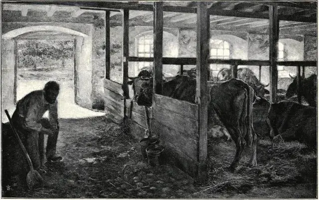 Illustration, sida 101