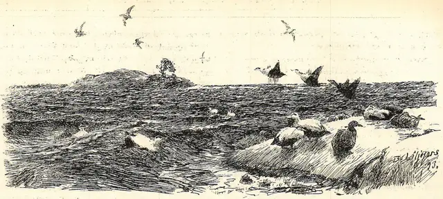 Illustration, sida 144