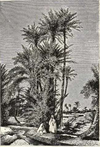 Illustration, sida 209