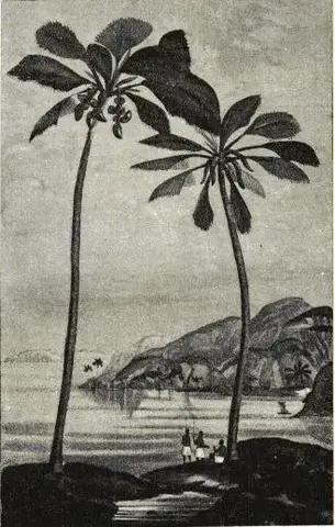 Illustration, sida 229