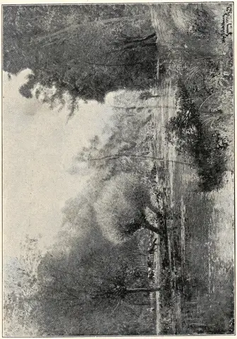 Illustration, sida 204