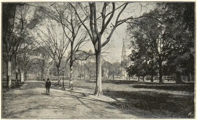 Illustration, sida 282
