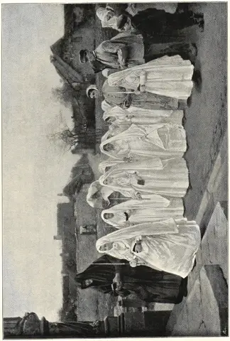 Illustration, sida 410