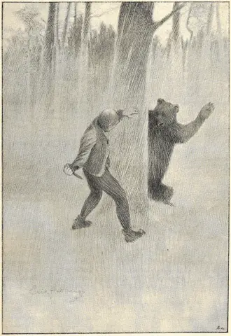 Illustration, sida 493