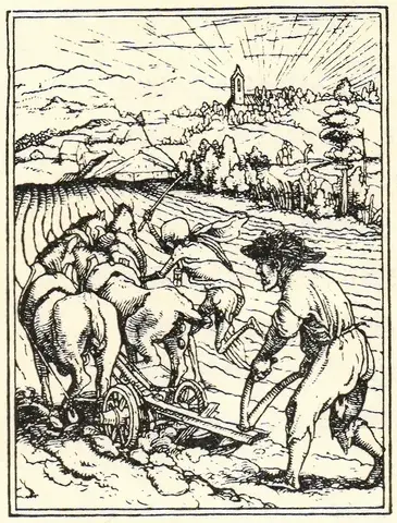 Illustration, sida 56