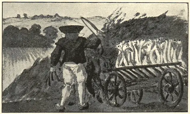 Illustration, sida 115