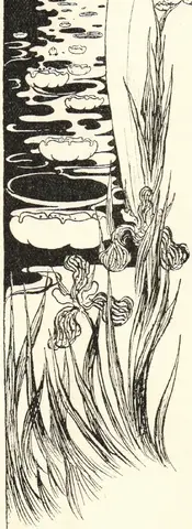 Illustration, sida 170