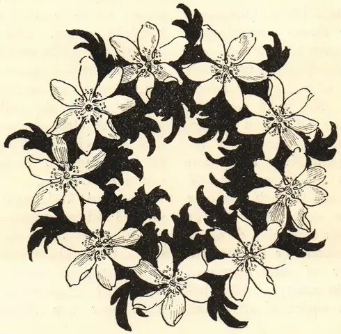 Illustration, sida 206