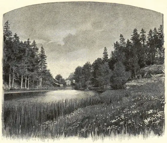 Illustration, sida 315
