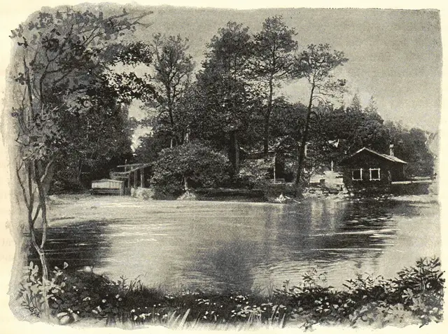 Illustration ur Ord och Bild: 1896 (1896), sida 317