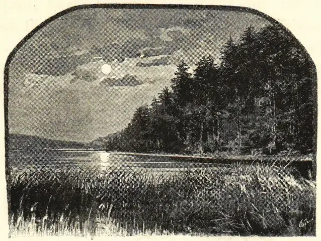 Illustration, sida 329
