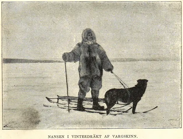 Illustration, sida 383