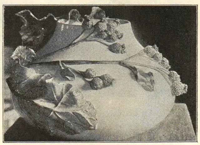 Illustration, sida 414