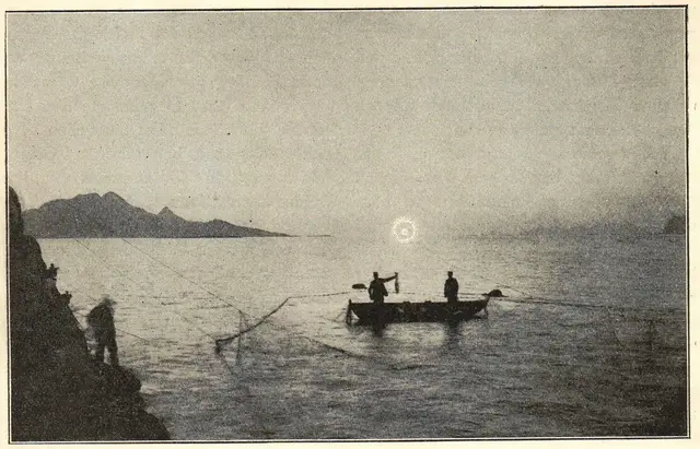 Illustration, sida 443