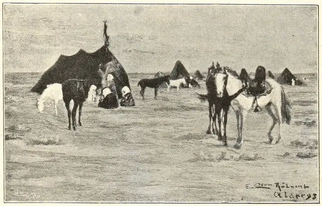Illustration, sida 494