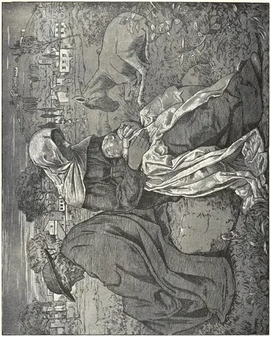 Illustration, sida 571