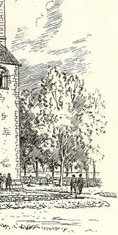 Illustration, sida 591