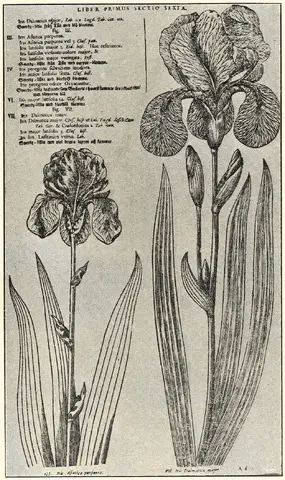Illustration, sida 63