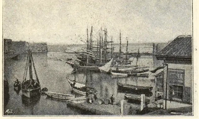 Illustration, sida 84
