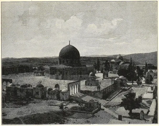 Illustration, sida 237