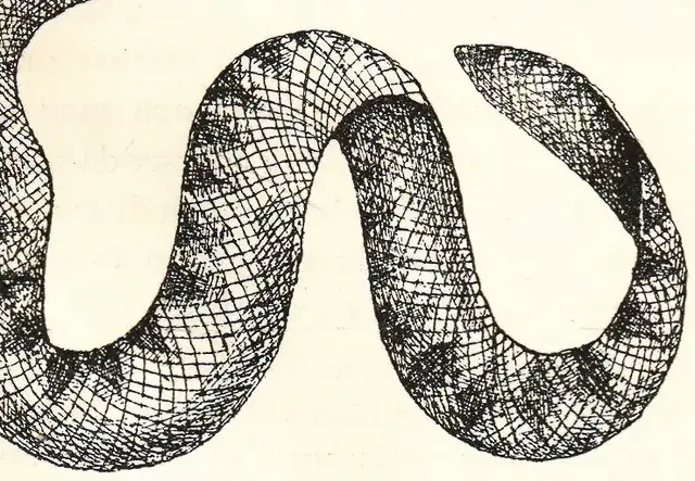 Illustration, sida 525