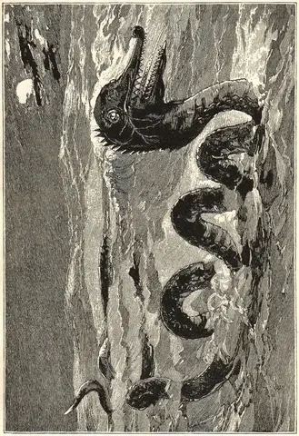 Illustration, sida 531