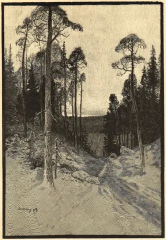 Illustration, sida 571