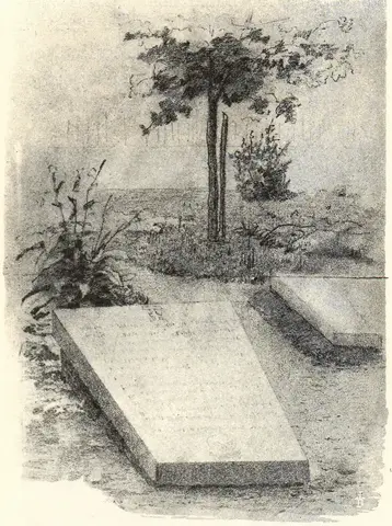 Illustration, sida 600