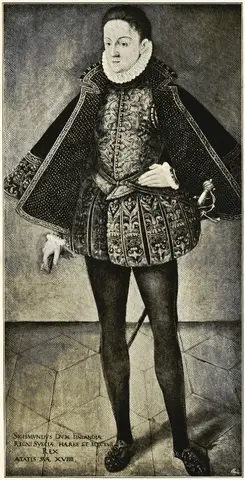 Illustration, sida xi