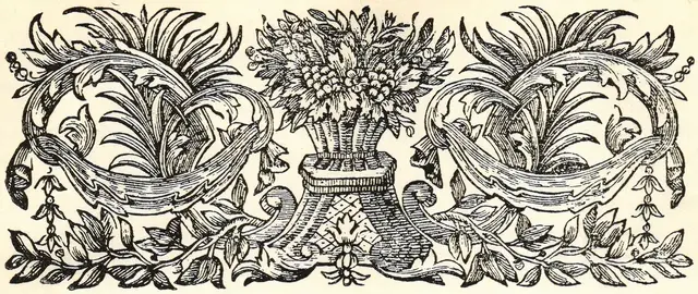 Illustration, sida 63
